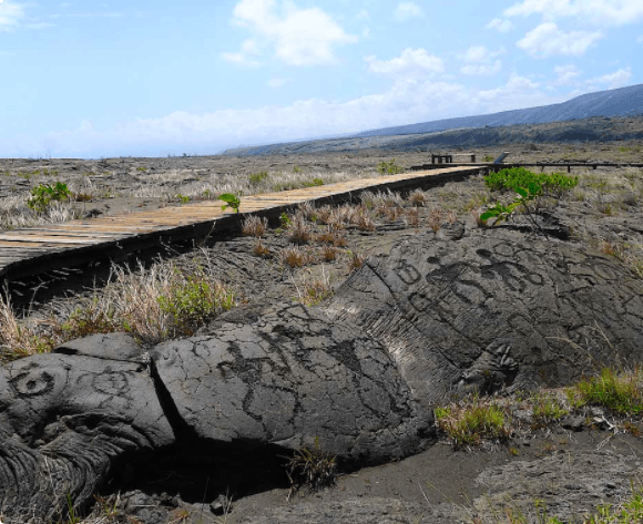 Getting a Peak at the Pu'u  Loa Petroglyphs