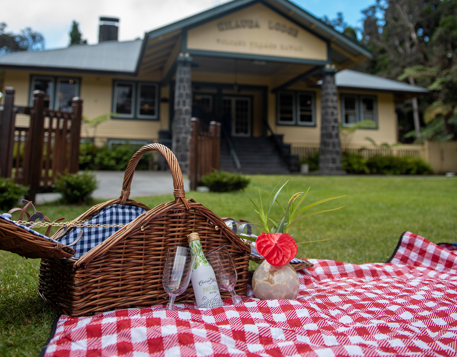 Day Use Picnic Basket ($10.00 USD)