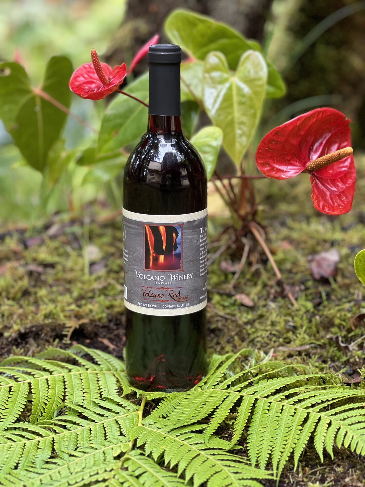 Local Volcano Wine  (28.00 USD)