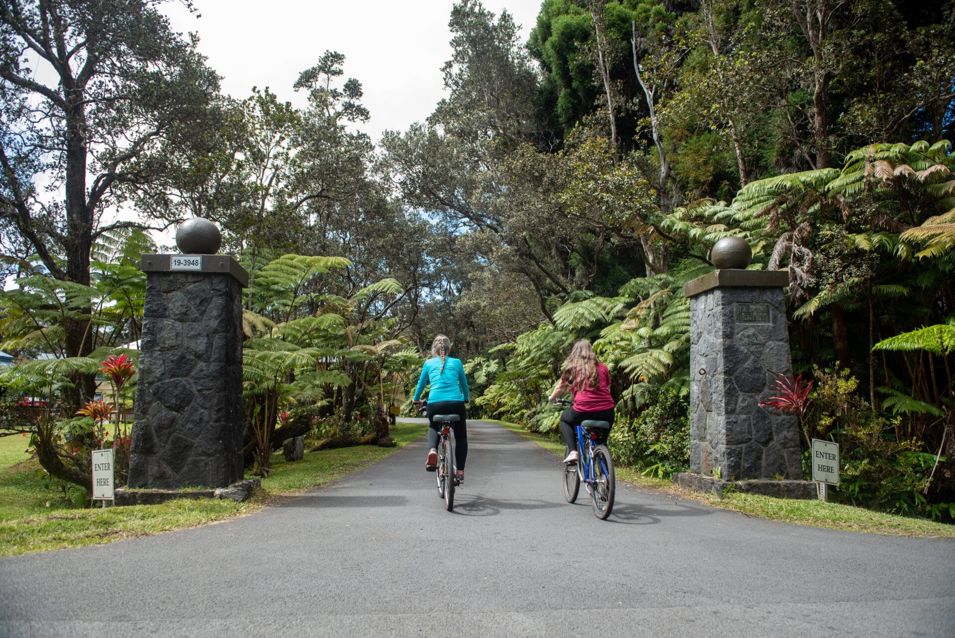 Experience the Big Island like a local at Kilauea Lodge.